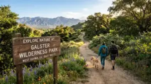 Couple walking dog on trail