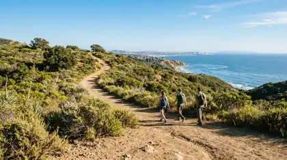 Hiking trail through coastal scrub